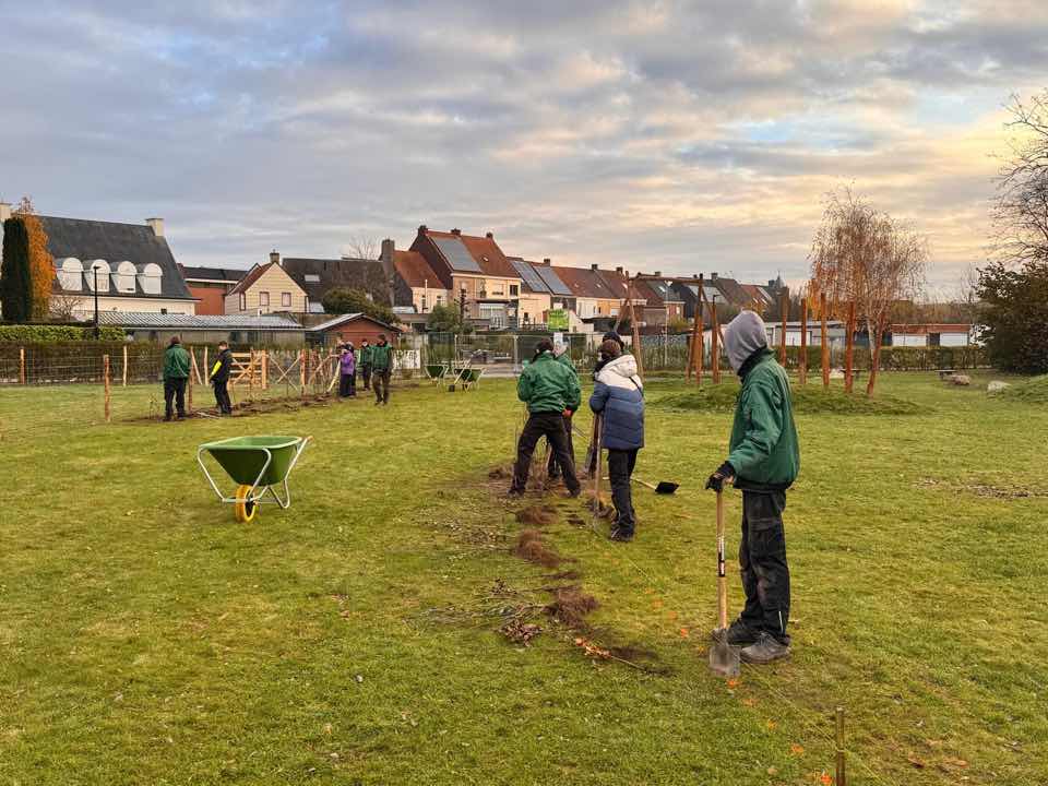 Groene Prikkel BAGRO December 2024